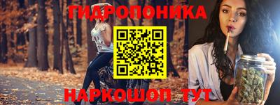 крисы Чебоксары