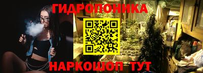 крисы Чебоксары